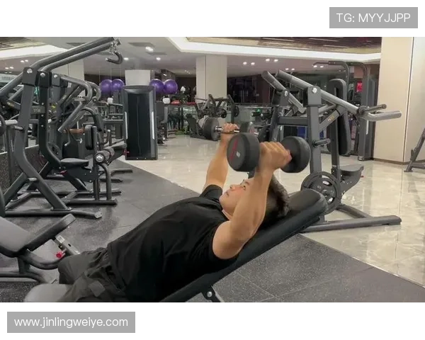 刘敏独家分享排球心得与技巧助你提升球技的全面指南