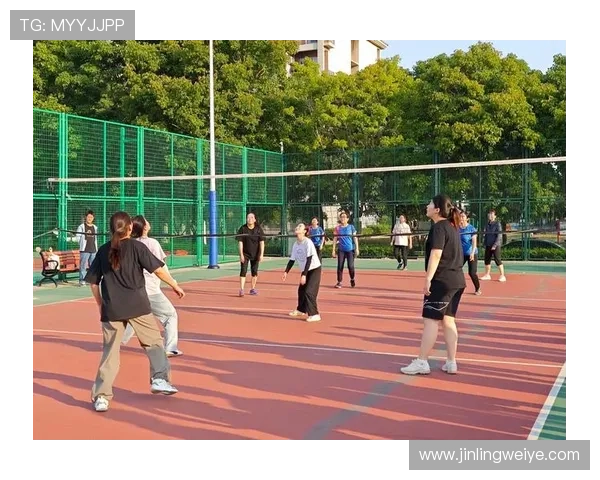 杭州排球队逆袭之旅选拔赛特别报道展现拼搏精神与团队力量